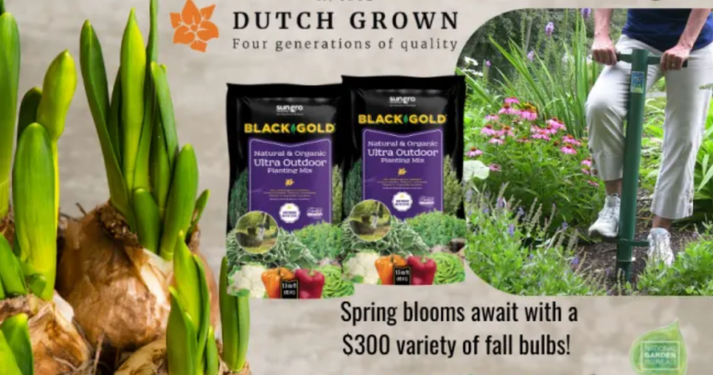 Dutch Grown Fall Bulb Giveaway