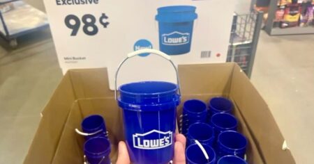 LOWE S MINI BUCKETS