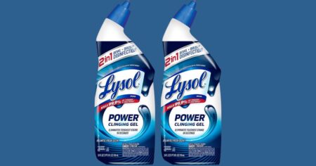 Lysol Toilet Bowl Cleaner