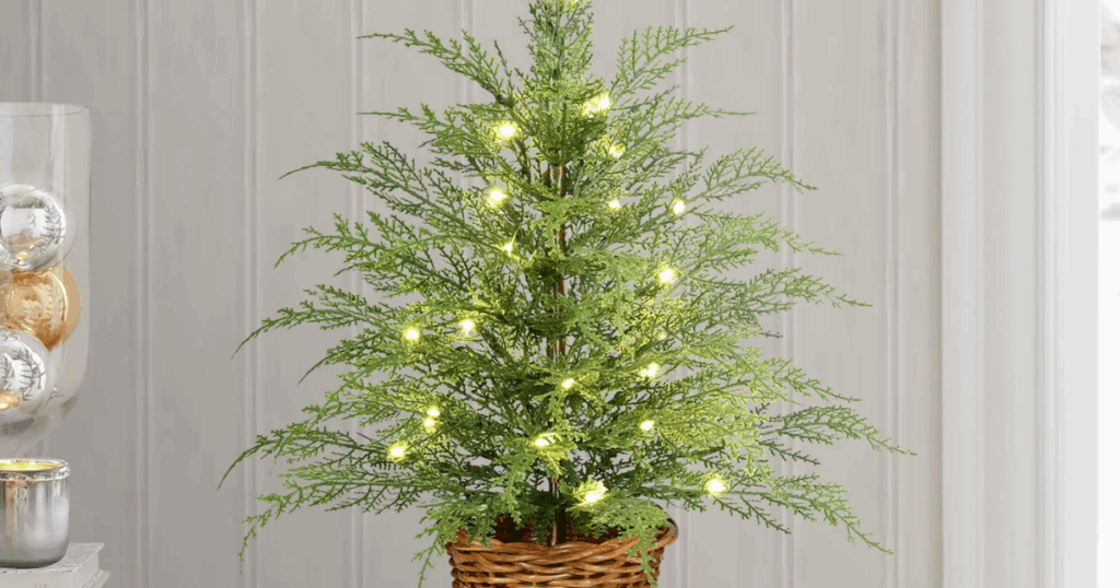 My Texas House Tree My Texas House Tree