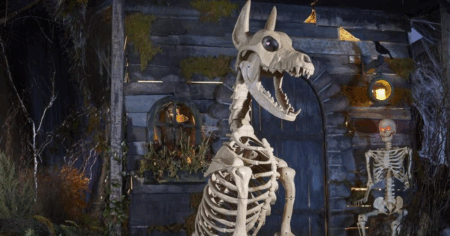 Skelly Dog
