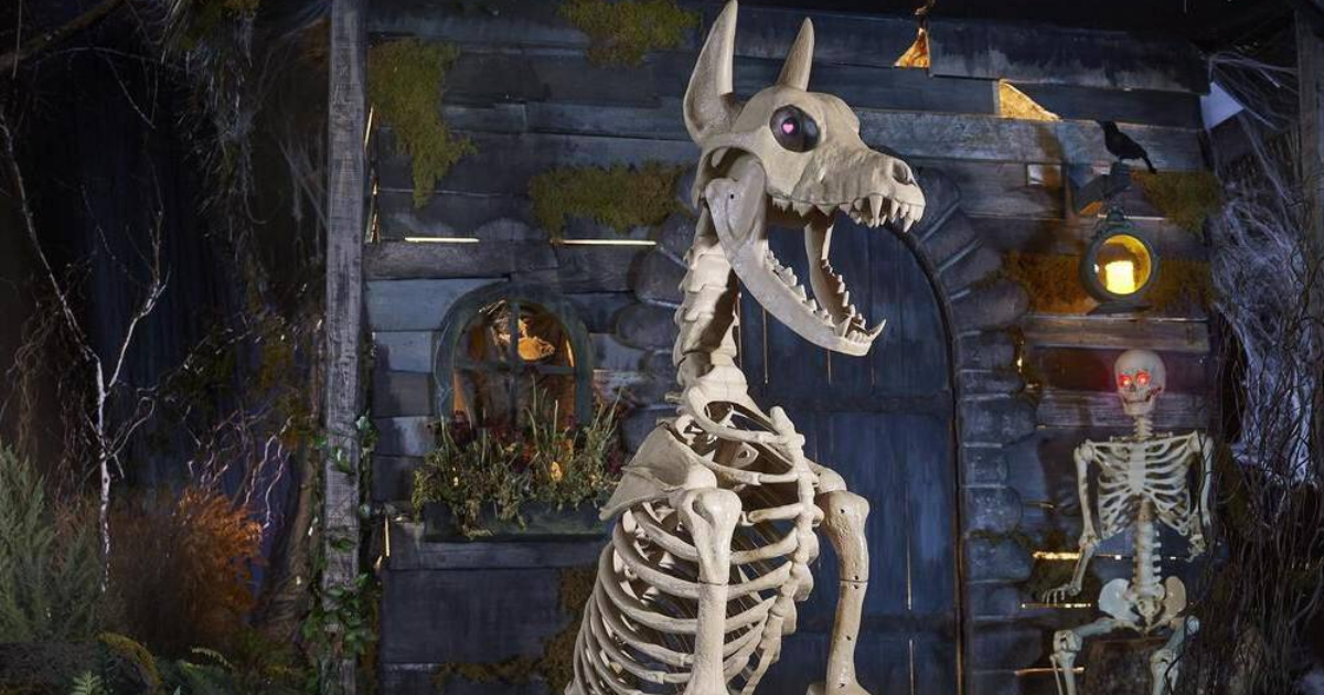 Skelly Dog