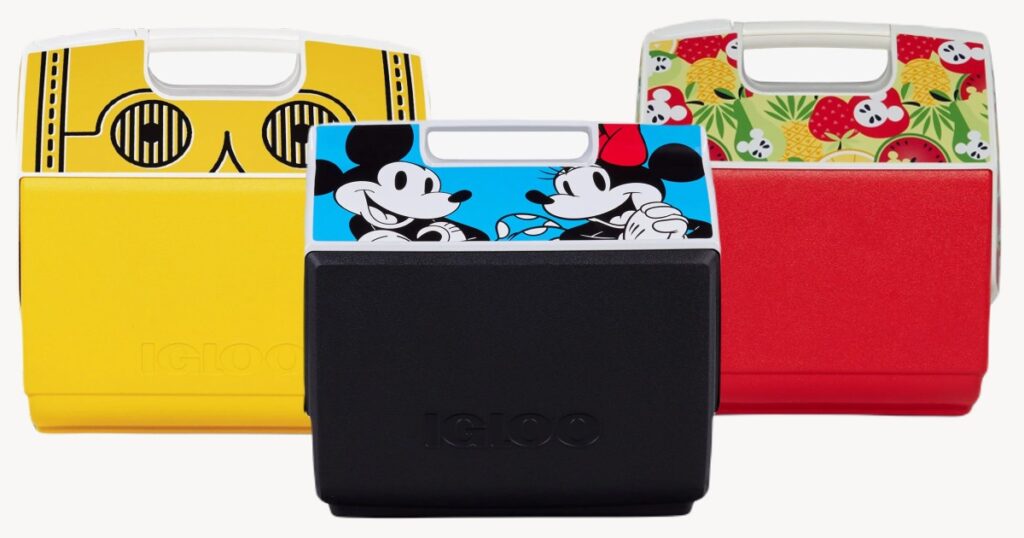 disney igloo coolers