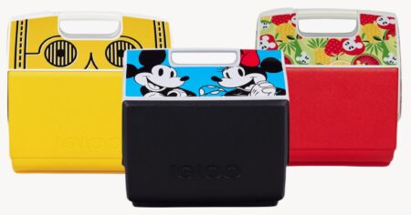 disney igloo coolers