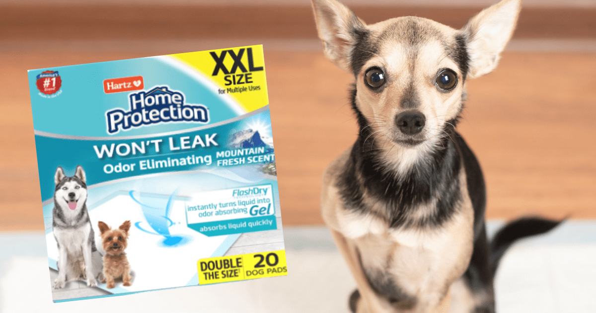 wont leak