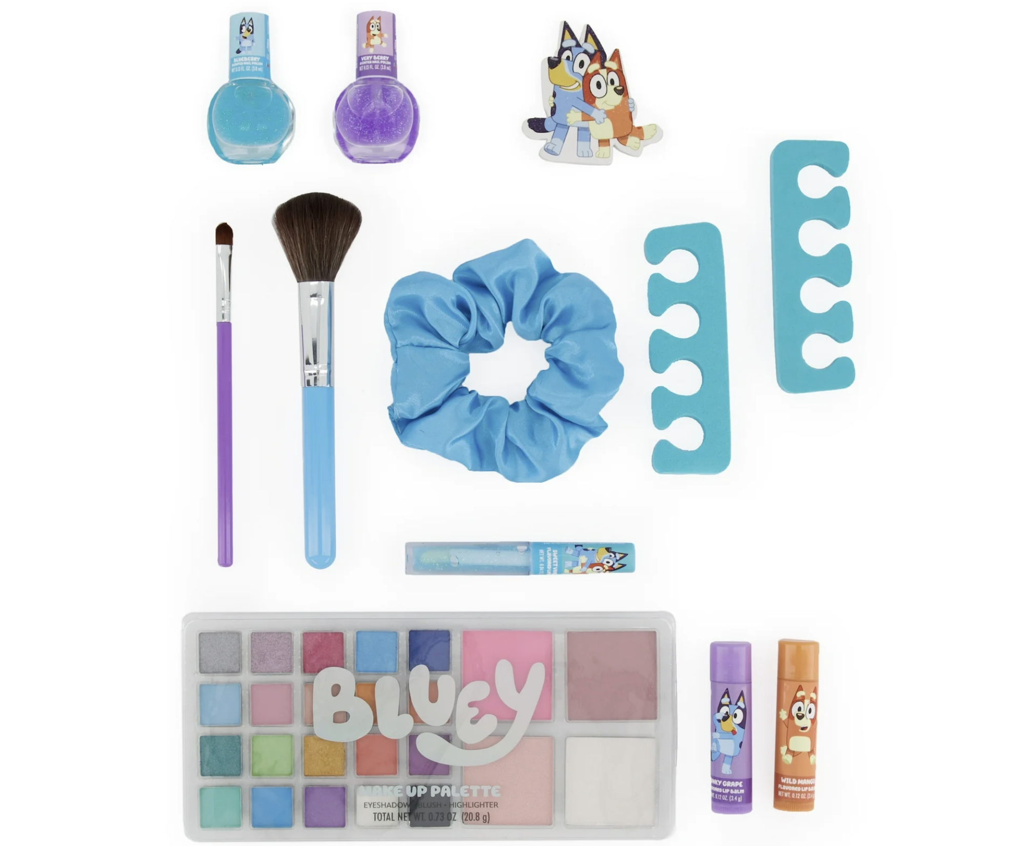 Bluey Caboodles Set