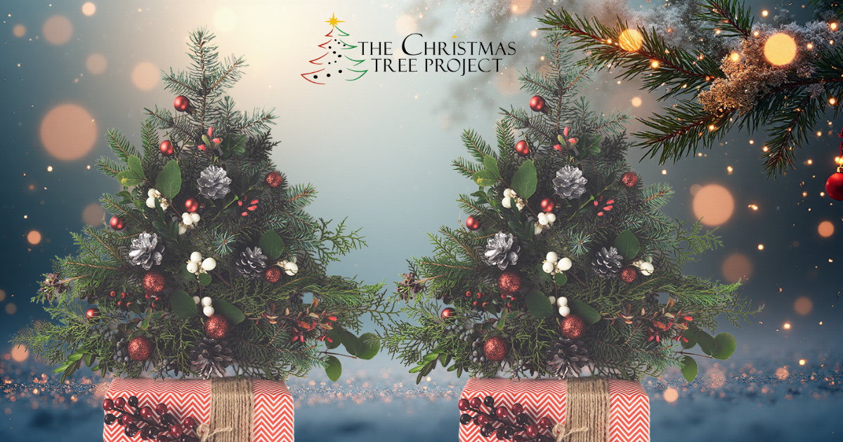 Free Tree for People In Need with The Christmas Tree Project