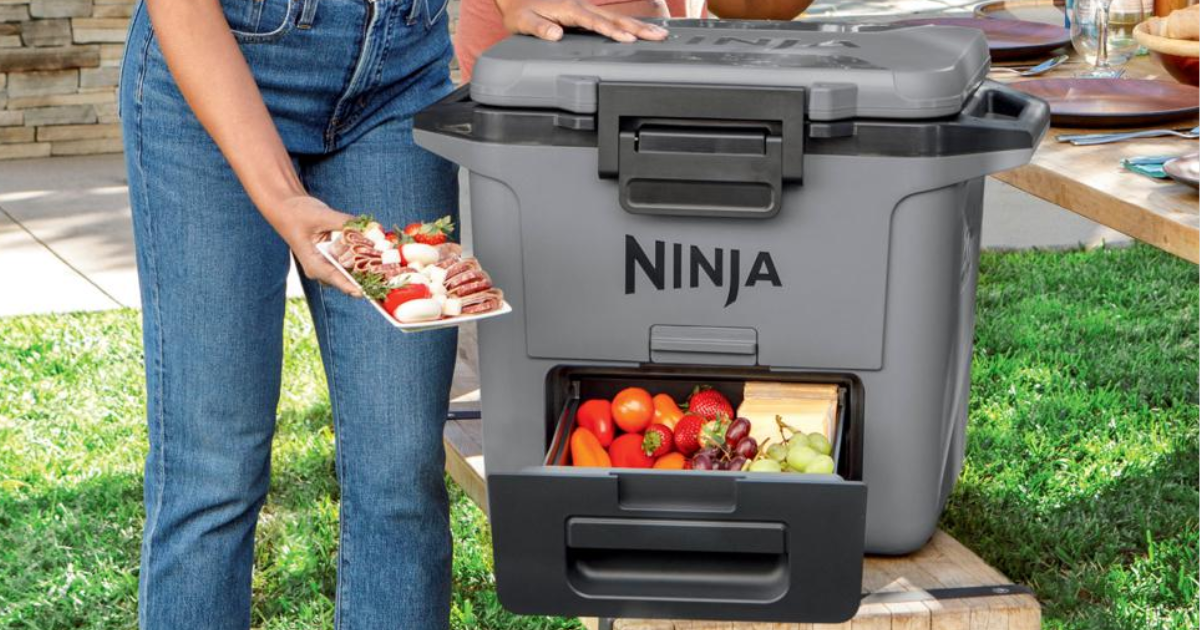 Ninja FrostVault Cooler