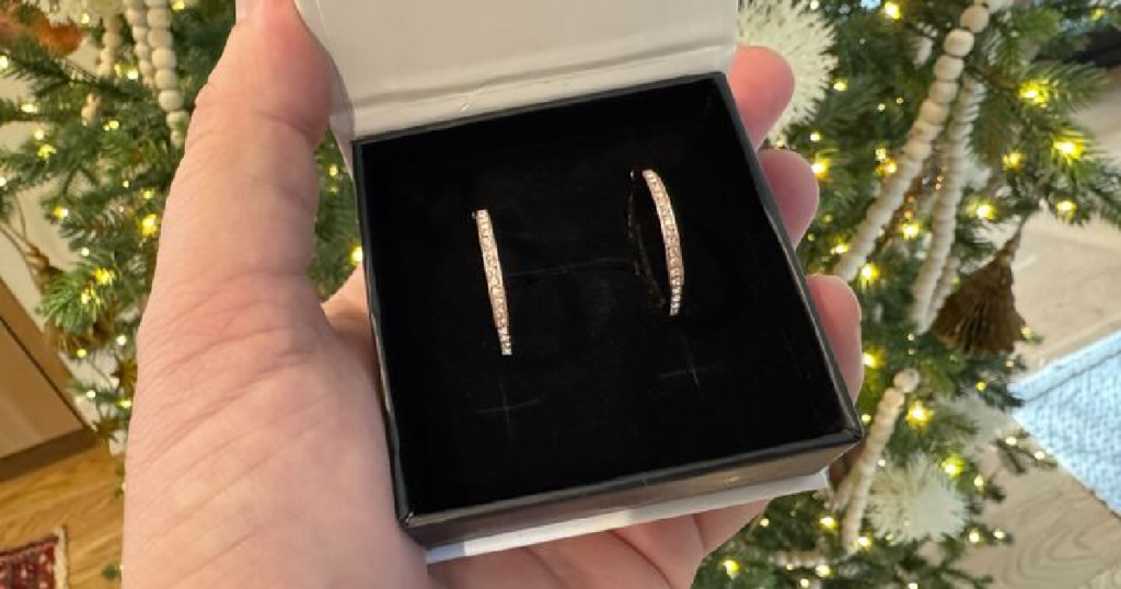 Cate Chloe Hoop Earrings