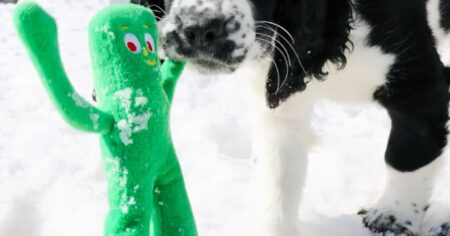 GUMBY DOG TOY