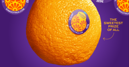 Sumo Citrus Countdown to the Sweetest Season Sweepstakes