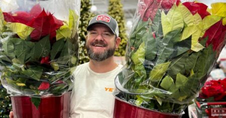 poinsettia costco