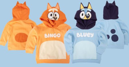Bluey Hoodies