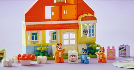 LEGO Bluey