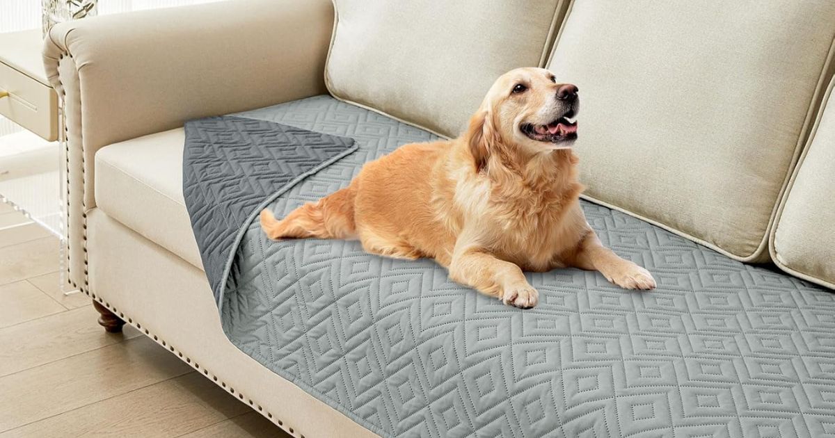 Waterproof Dog Blanket