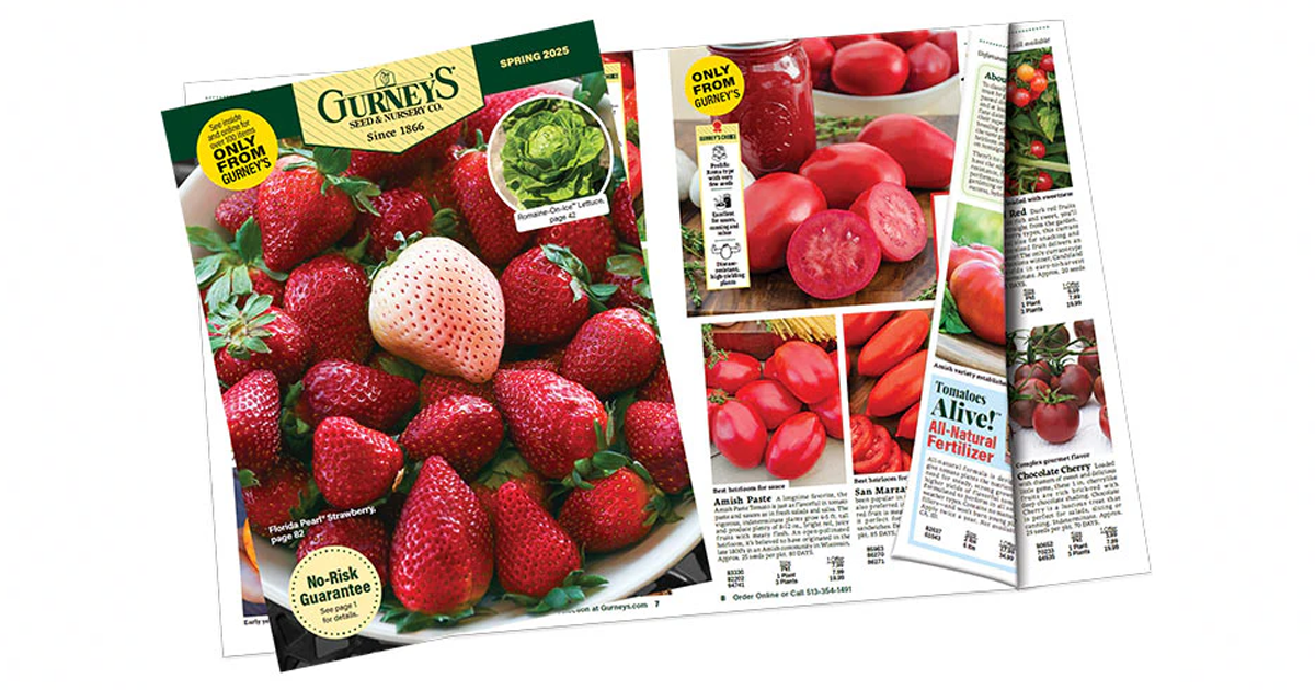 Score a FREE Gurneys Seed Catalog The Freebie Guy® ️️️