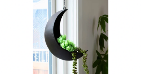 moon planter