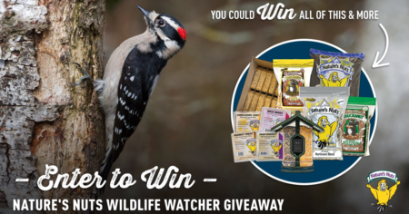 natures nuts