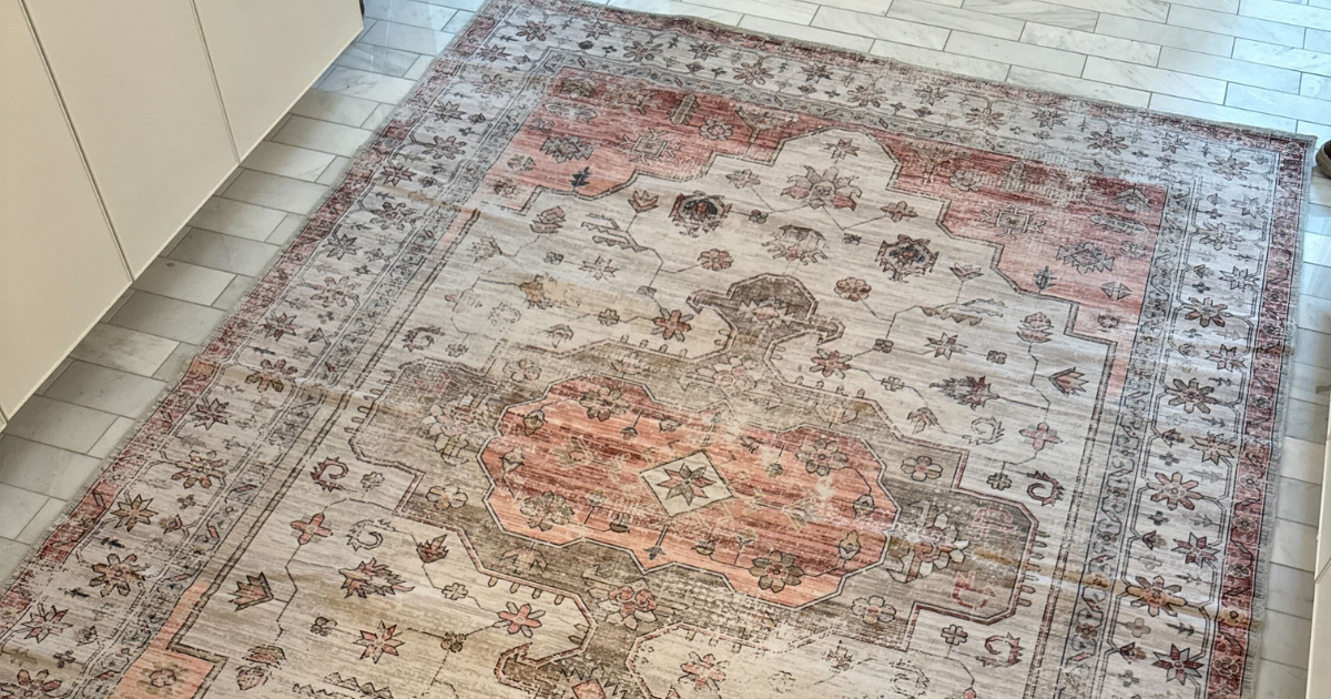 nuloom rug