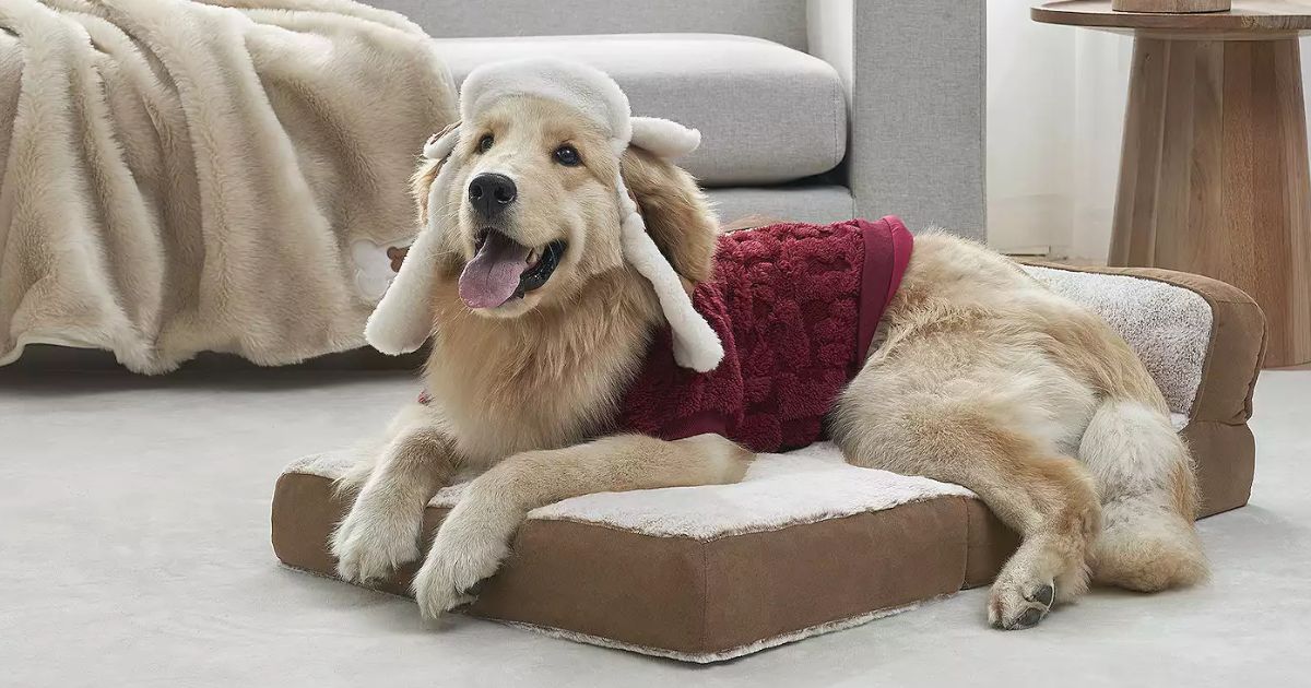 Koolaburra by UGG Pet Koolaburra by UGG Pet