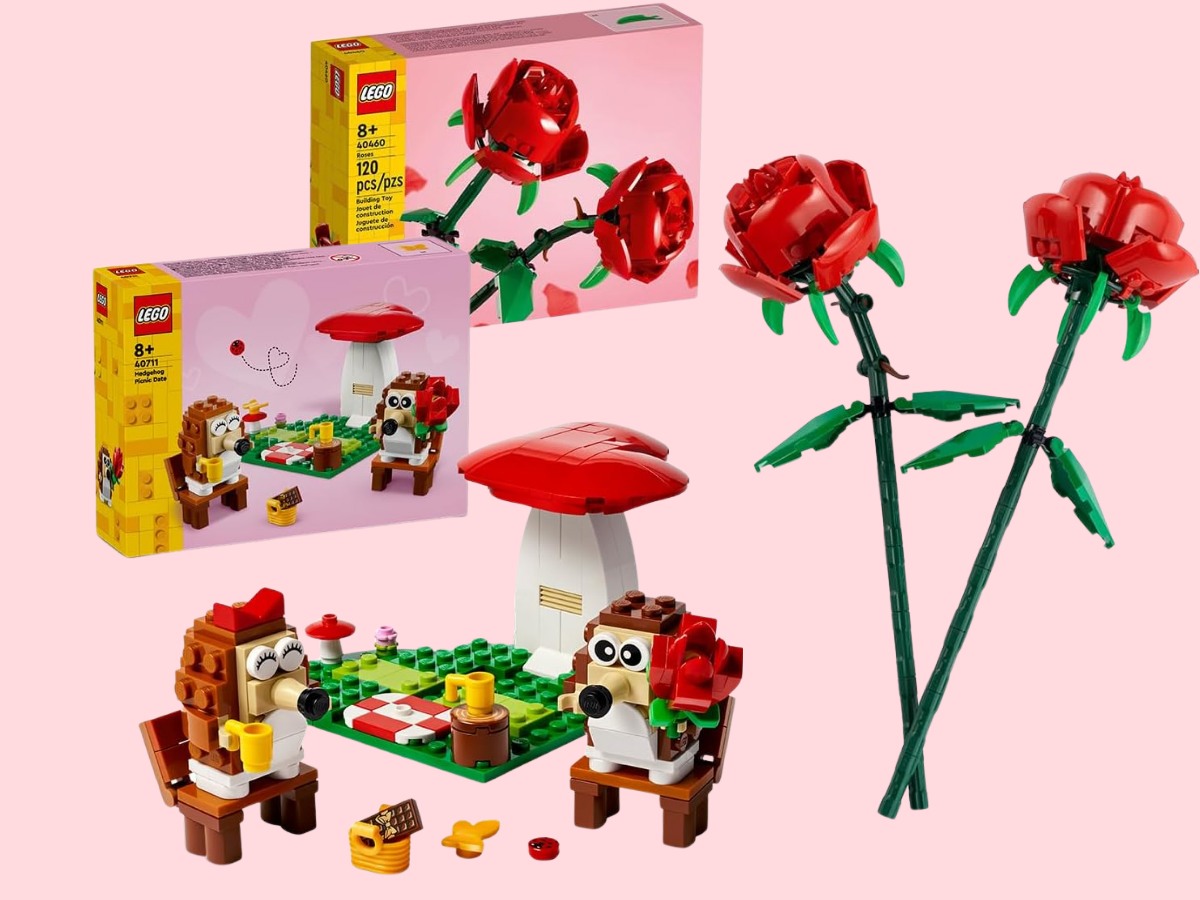 LEGO Roses & Hedgehog Picnic Date Bundle
