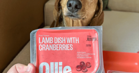 Ollie Dog Food