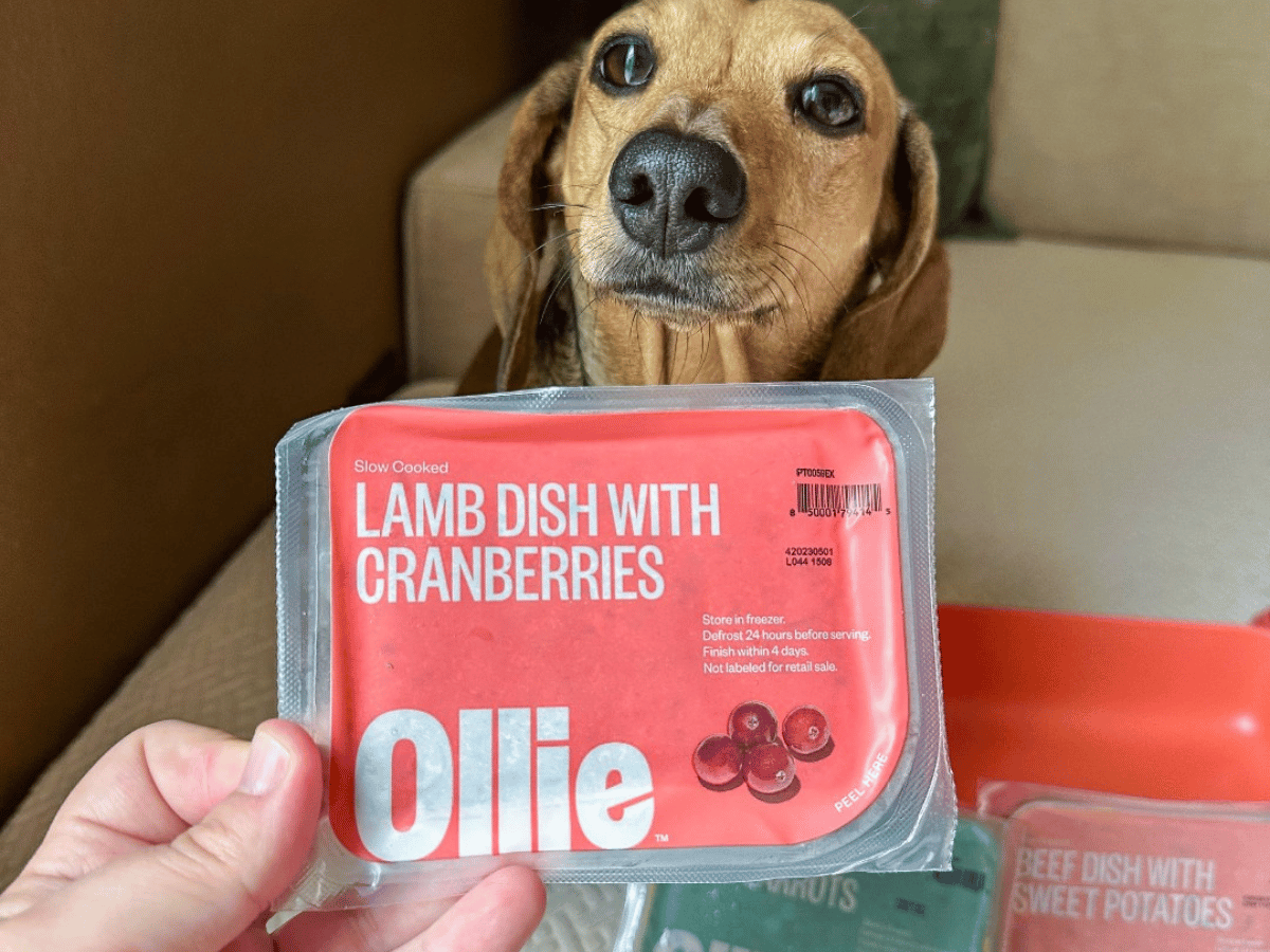 Ollie Dog Food