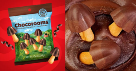 Possible Free Chocorooms with Peekage