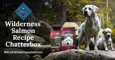 wilderness salmon