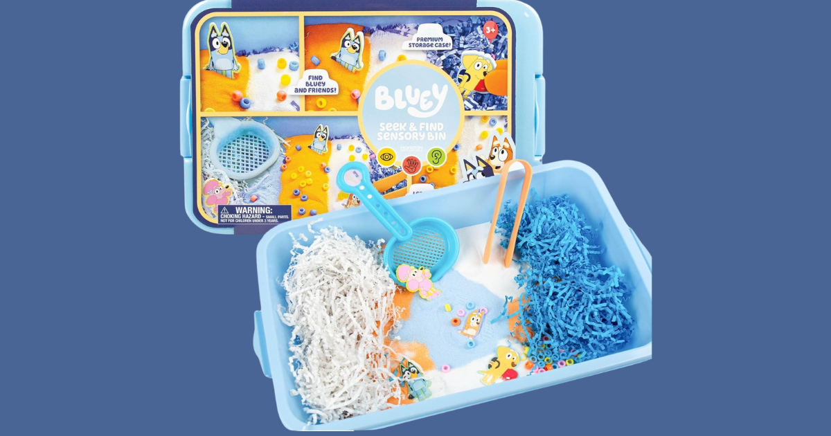 Bluey Sensory Bin