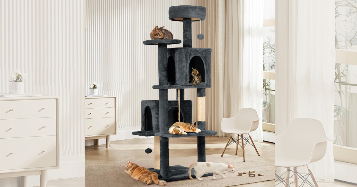 CAT TOWER CAT TOWER