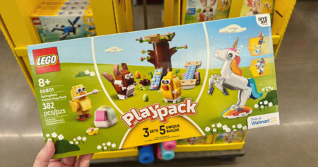 LEGO PLay Pack