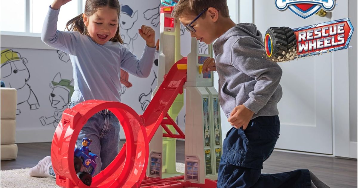 Paw Patrol Super Loop