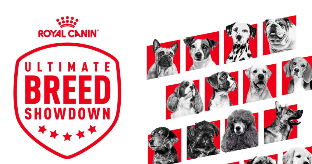 Royal Canin Ultimate Breed Showdown Sweepstakes