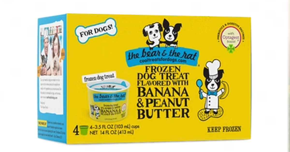 bear and the rat bear and the rat