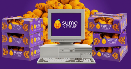 sumo citrus