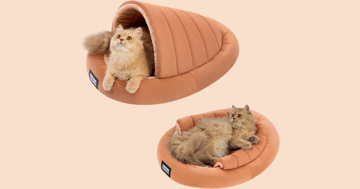 PET BED