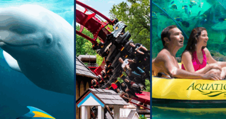 Seaworld Busch Gardens & Aquatica