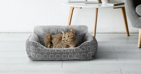 Vibrant Life Lounger pet bed small