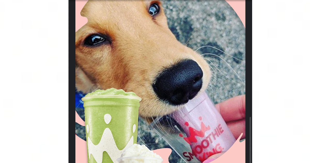 smoothie king pup cup
