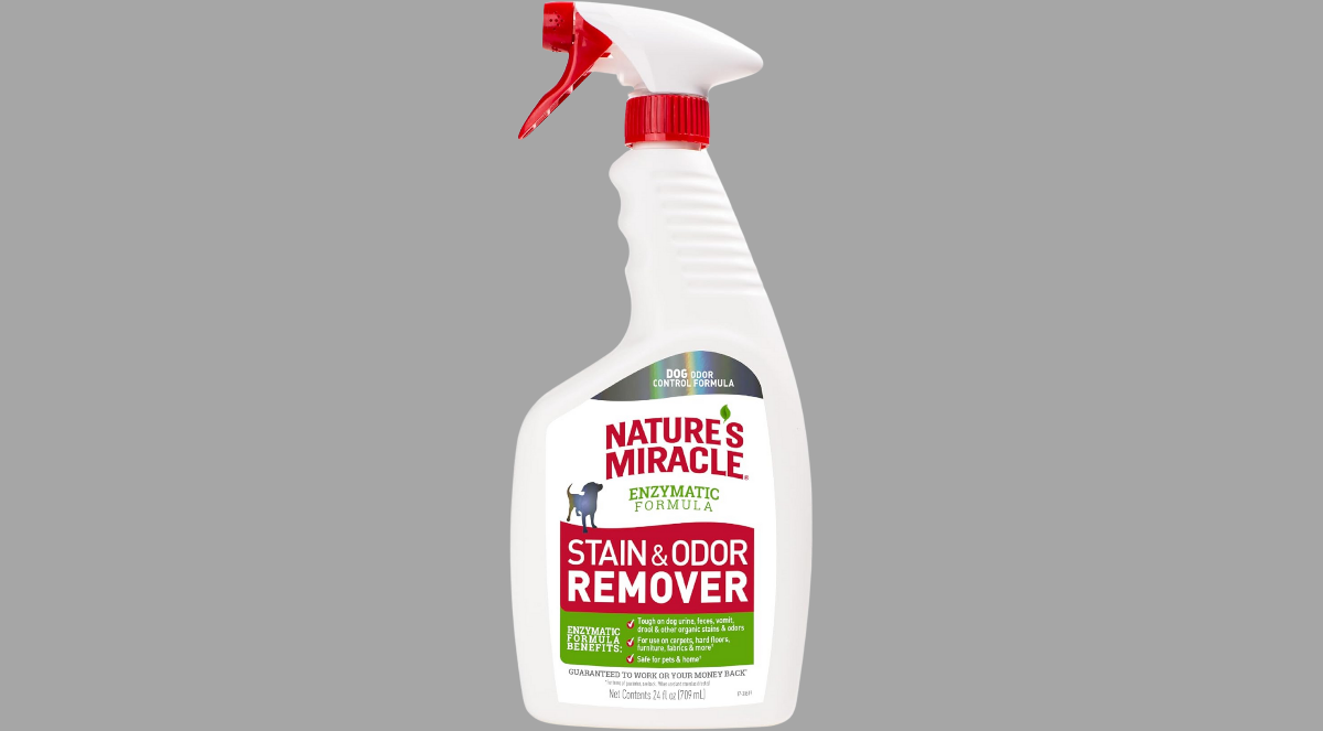 20250511 165831 0000