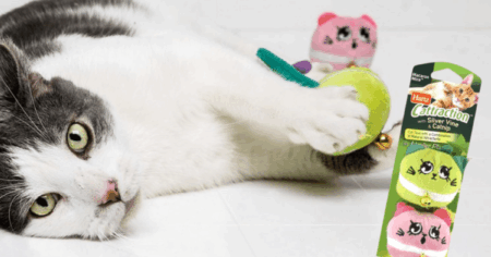 FREE Hartz Cattraction Cat Toys