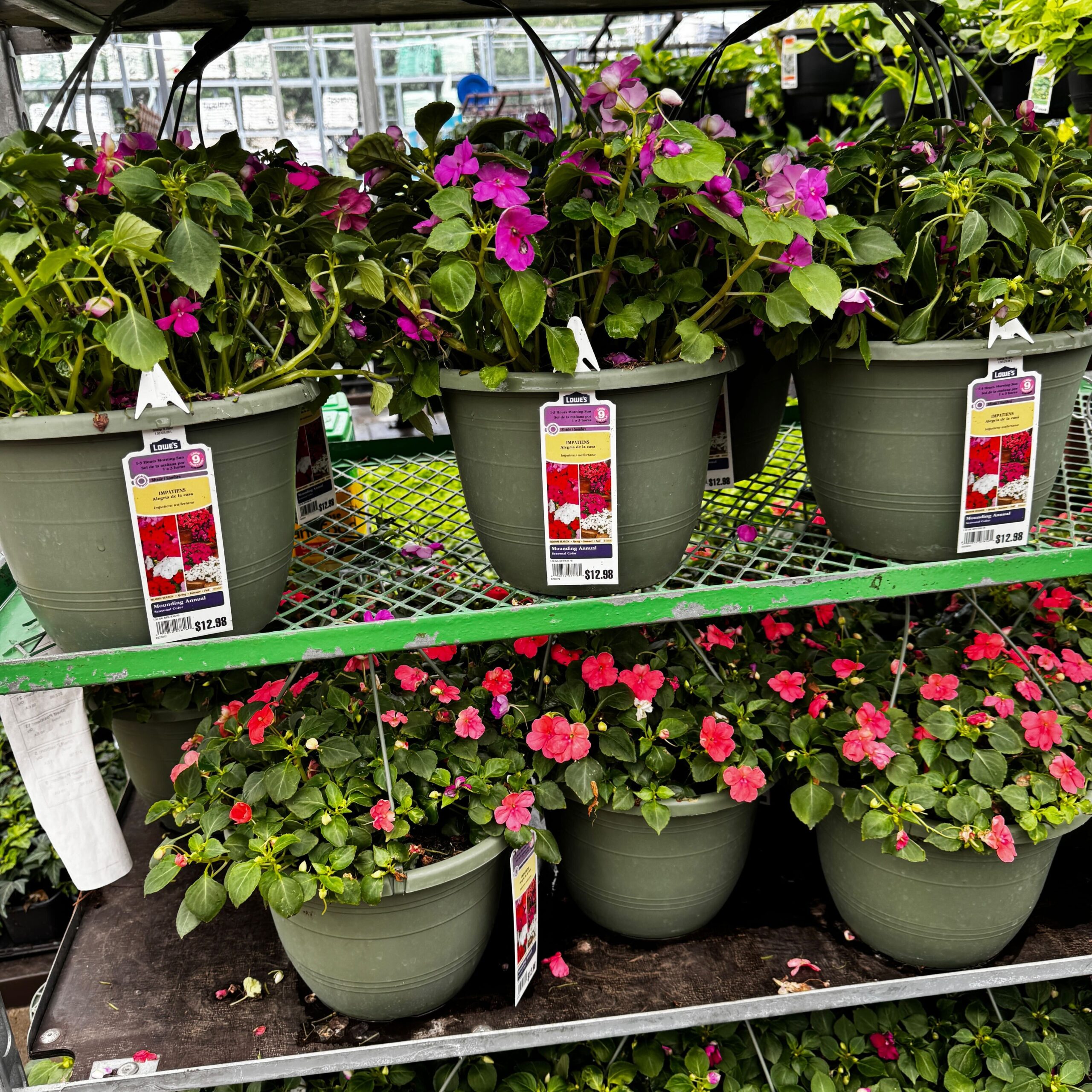 Lowe s Hanging Baskets Lowe s Hanging Baskets
