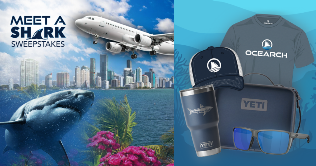 OCEARCH Meet a Shark Sweepstakes