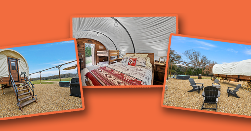 Schlotzsky’s Cowboy Cation Sweepstakes