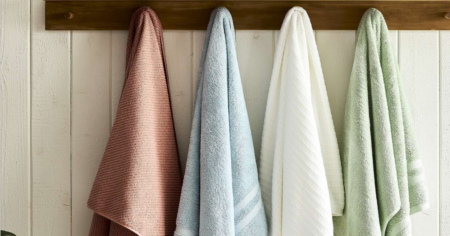 Sonoma Goods for Life Towel