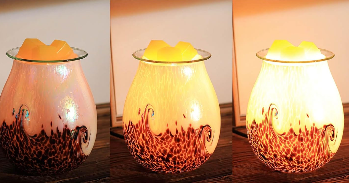 WAX WARMER WAX WARMER