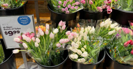 Whole Foods Tulips