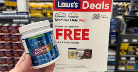 lowes paint sample kendall