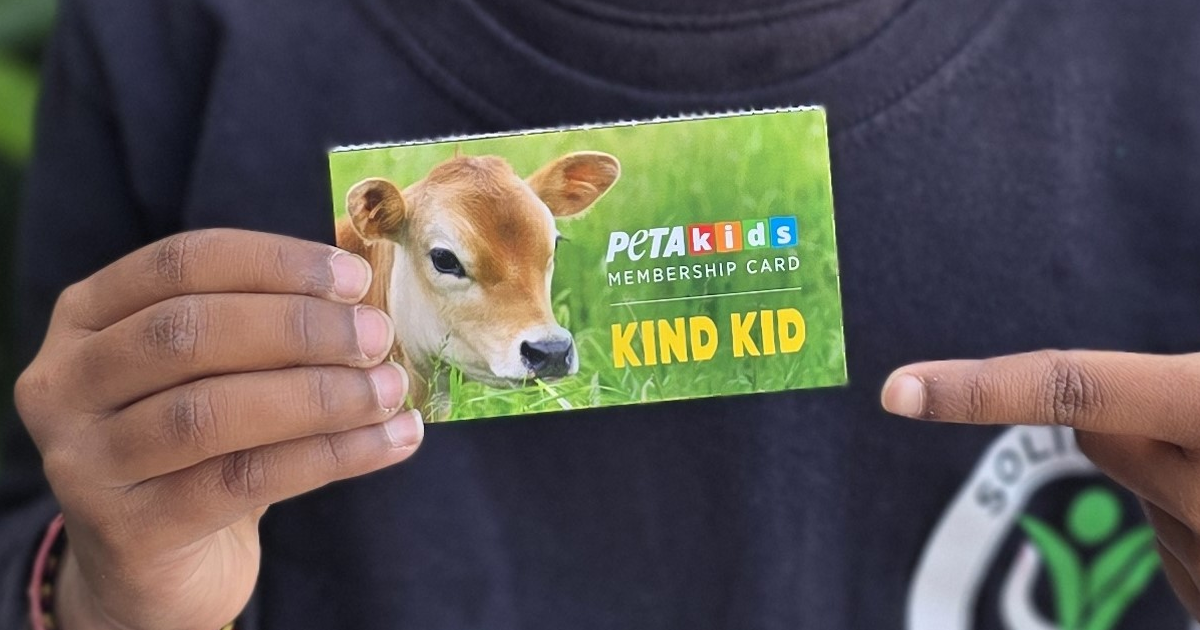 peta kinda kid